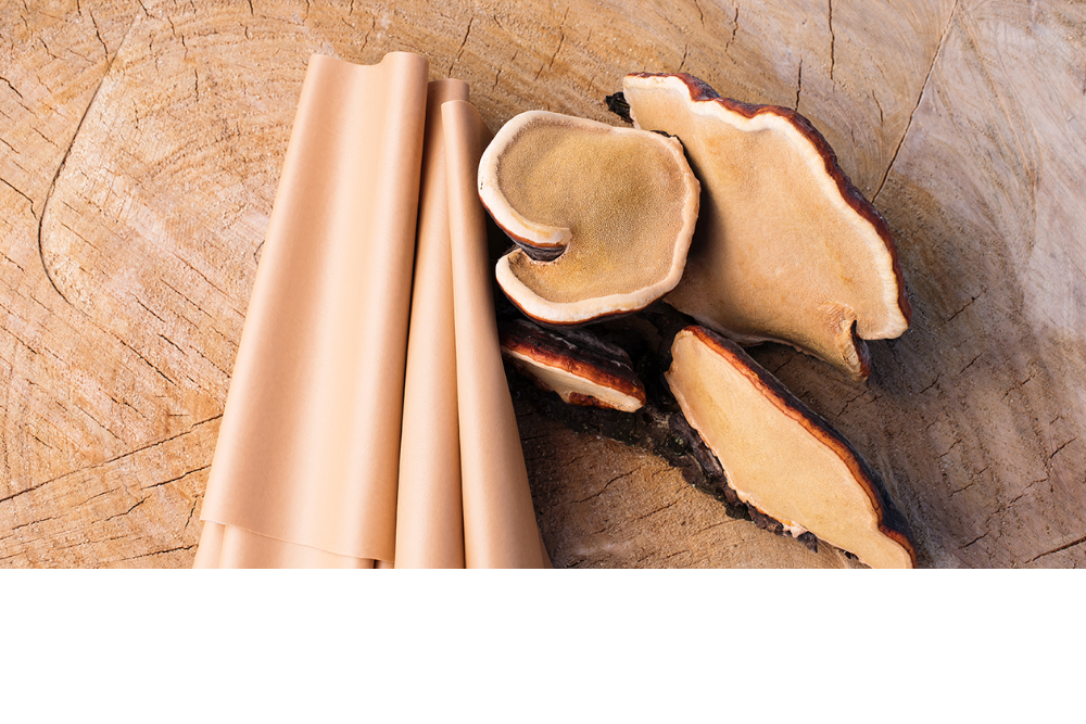 Mushroom Leather